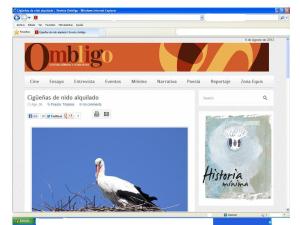 Revista Ombligo- Cigüeñas de nido alquilado
